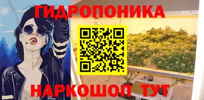 сатива Заволжье
