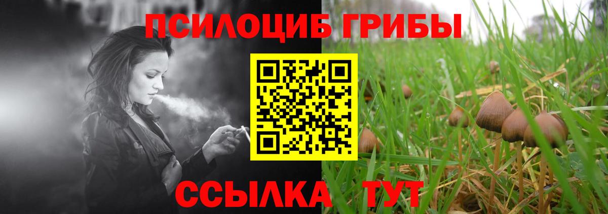 Псилоцибиновые грибы Psilocybe  где купить наркоту  Вход с VPN  Луга  Галлюциногенные грибы Psilocybine cubensis 