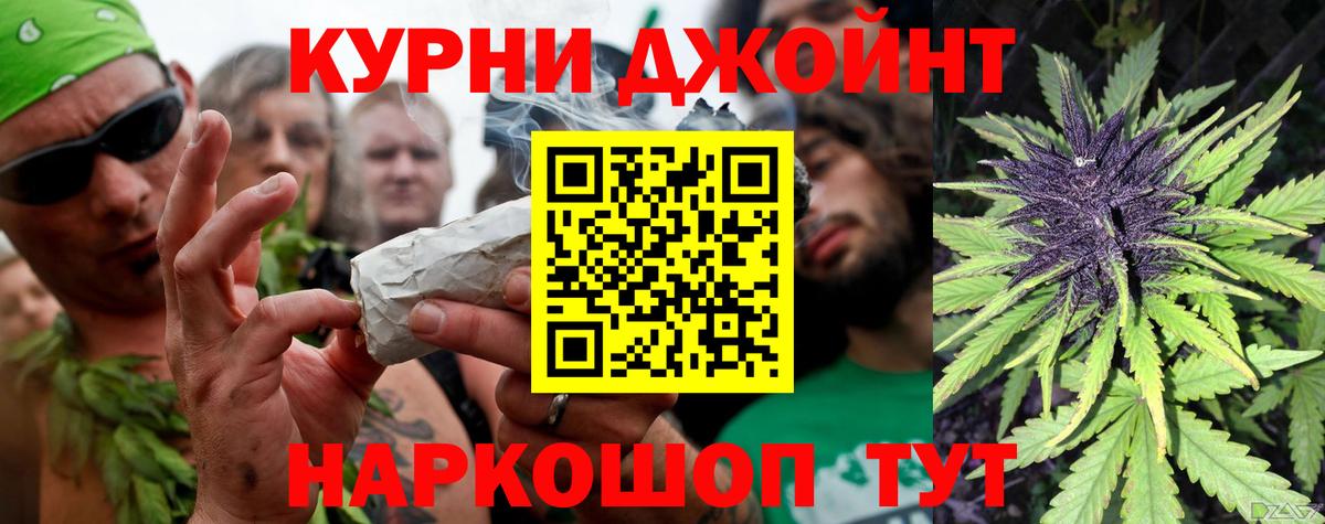 Бошки марихуана сатива  МАРИХУАНА сатива  Канабис план  Каннабис семена  Вход с VPN  Луга 